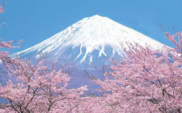 2016日本赏樱口袋攻略 赶紧约起你的小伙伴们