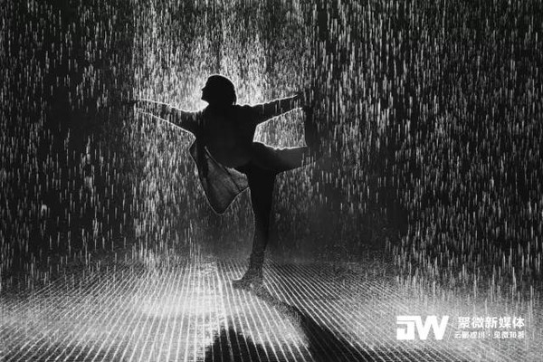 阳光总在风雨后, 我若盛开,清风自来.