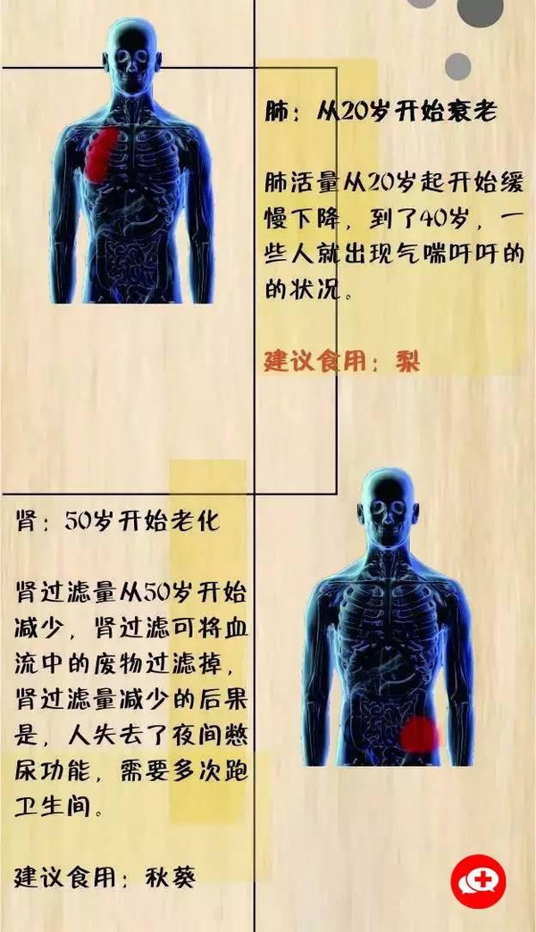 13个器官衰老时间表 最早竟然20岁