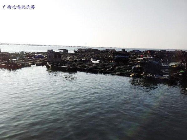 乌石镇有多少人口_湘潭县 就地旅游 成为市民出游新时尚(3)