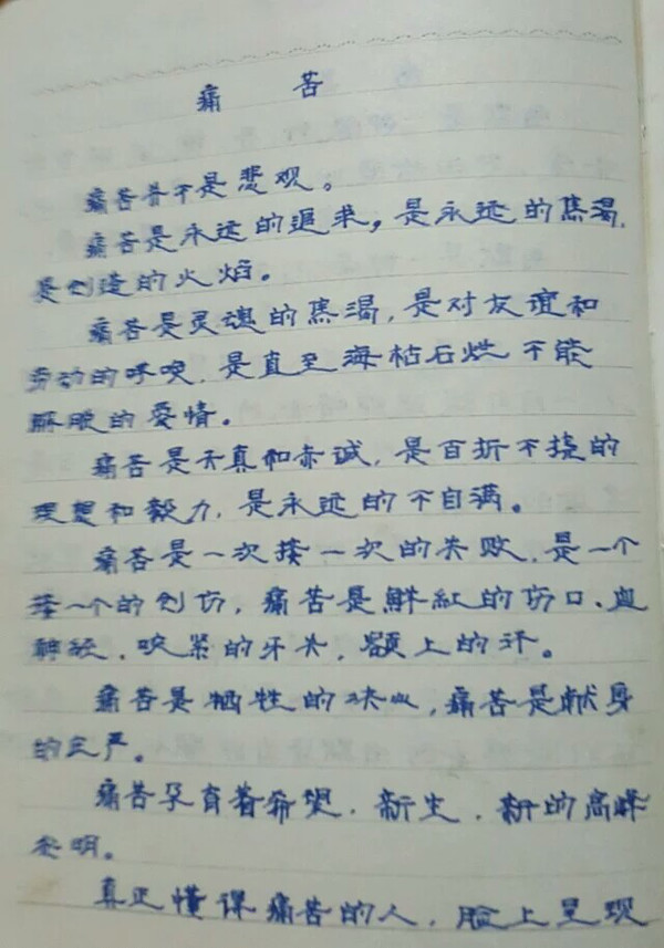 优美句子手抄报