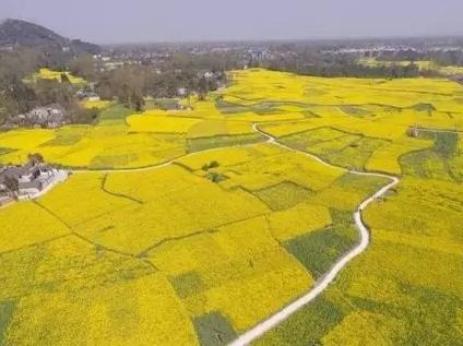 中国最美乡村公路居然在成都,约不?