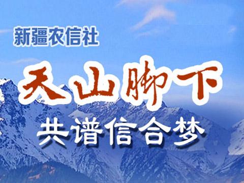 新疆农村信用社|商业银行2016年校园招聘