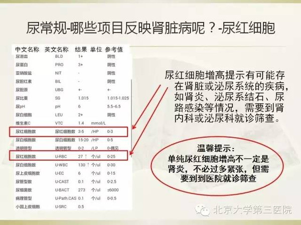 尿常规红细胞偏高的原因