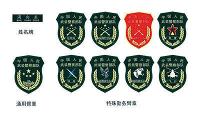 武警换新式臂章胸标 姓名牌尺寸与解放军一致