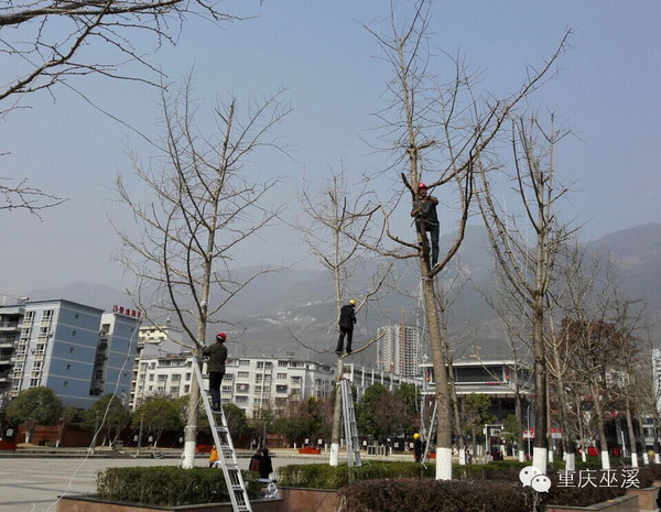 工作人员正在对逍遥广场灯饰进行拆除