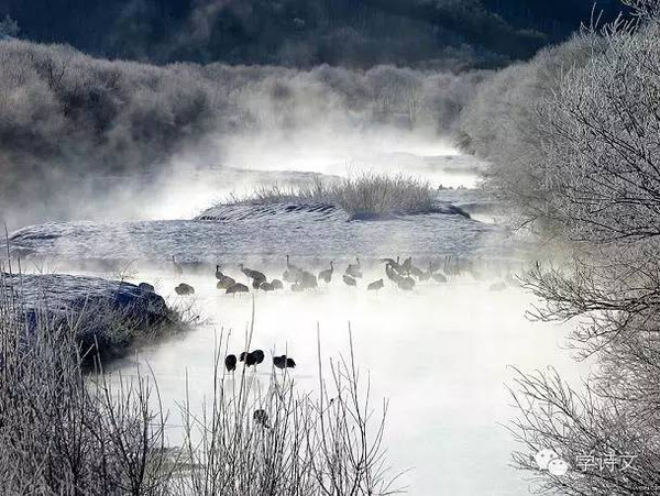 原创:古人咏雪靠想象?