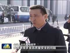 中央3台直播今天_视频在线观看-爱奇艺搜索
