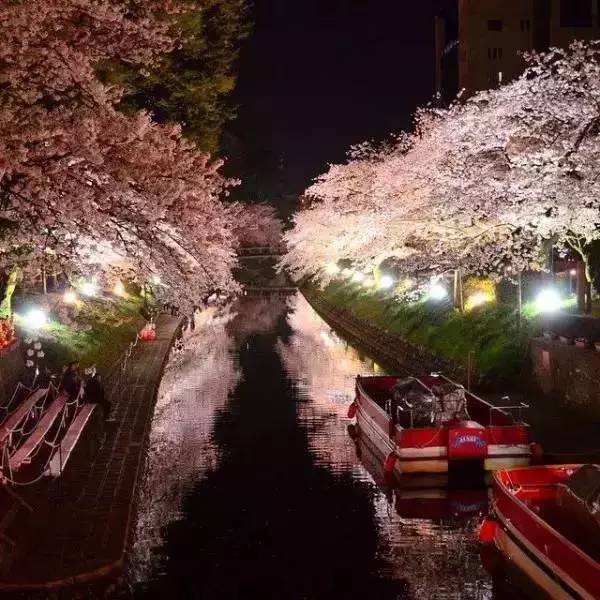 日本富山市人口大约_日本富山县地理位置及综述(2)