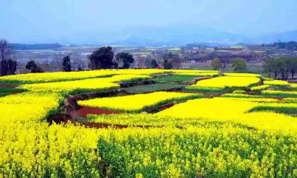 【单车上的春天】增城赏花骑行2日