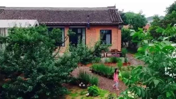 一家三口逃离北京在山东农村老家建了一个世外