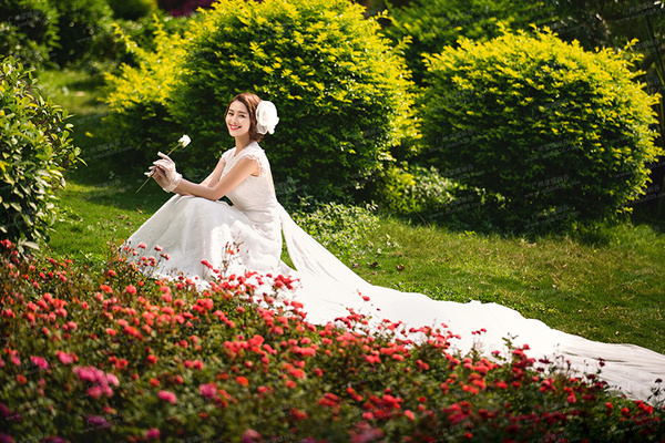 婚纱照花_林心如婚纱照花海