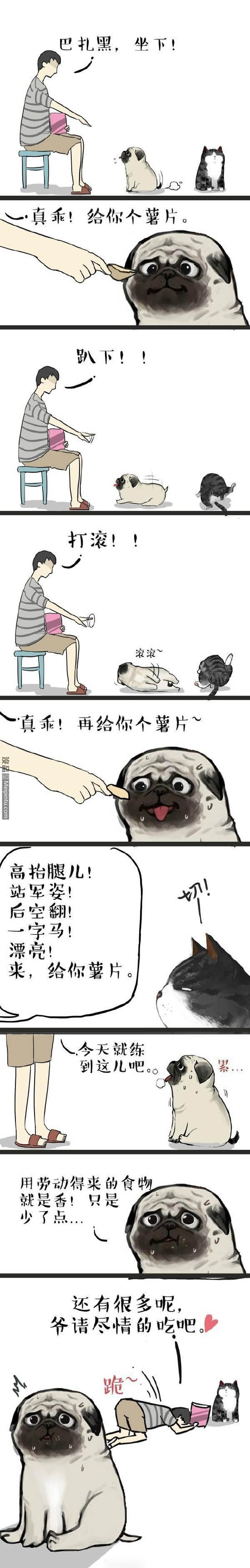 心疼巴扎黑