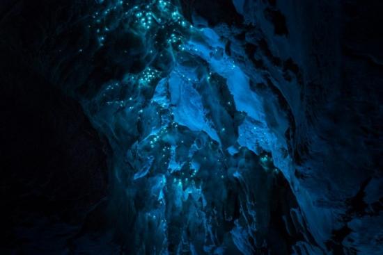 怀托摩萤火虫洞(waitomo glowworm caves)位于新西兰奥克兰以南168