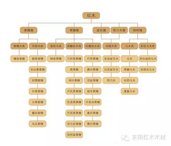 从上面这张红木分类图可以看出: 1,紫檀木类和香枝木类名下的木种最少