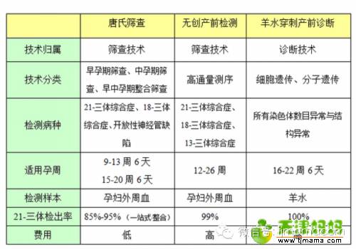 怀孕日记连载|关于唐筛,无创,羊水穿刺该如何选择?孕