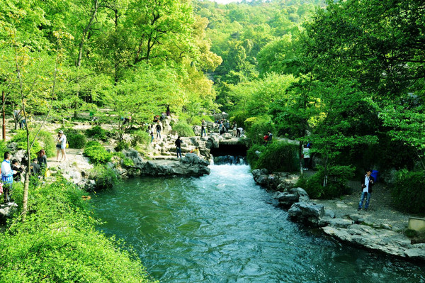 太子湾以溪水潺潺,绿树油油,草儿青青为主要基调.