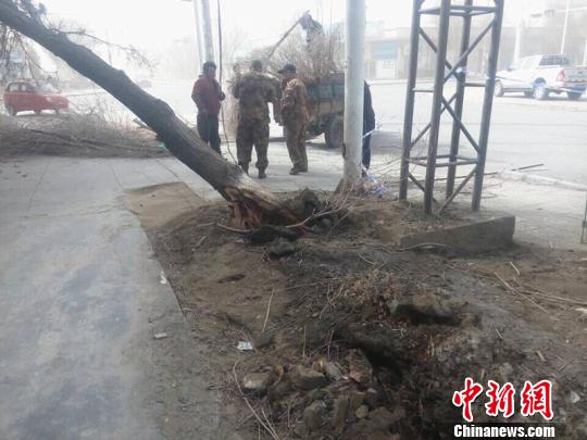 新疆和硕县遭遇罕见大风沙尘:刮断大树 吹倒三