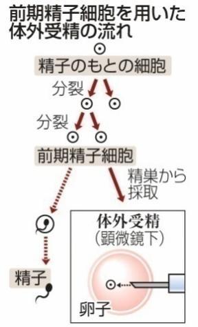 试管婴儿技术的发展历程及发展方向_日本好孕网