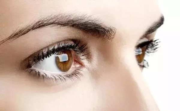 黑眼圈——血液含有过多老旧废物时,就会让眼睛周围变的黯沉(肾脏)