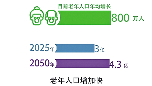 中国现有老年人口_中国人口老龄化现状分析 老龄化带来的问题及应对措施(3)