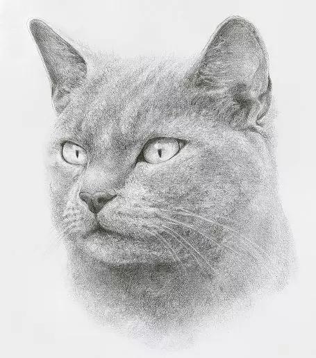 画素描最忌画灰,灰灰的画无法表现素描的效果和质感!