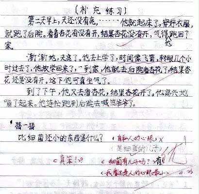 小学语文教师论文