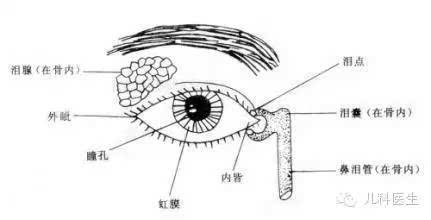 科普|先天性泪道阻塞