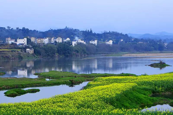 时间:3月下旬至4月 地点:歙县桂林镇紫金山生态农业园,搁船尖景区