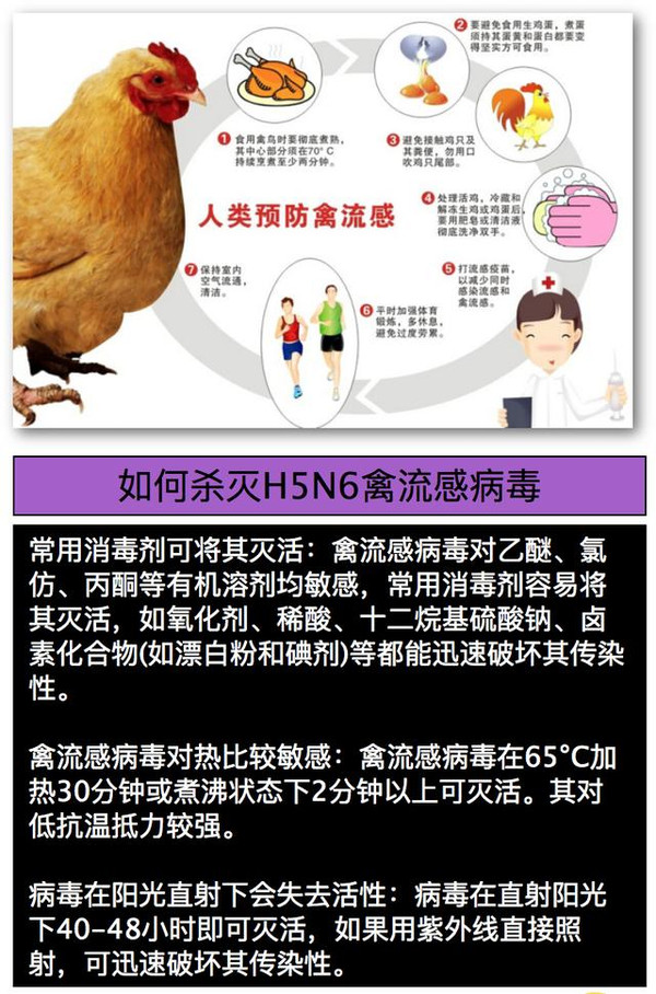 都匀发现首例h5n6禽流感病毒