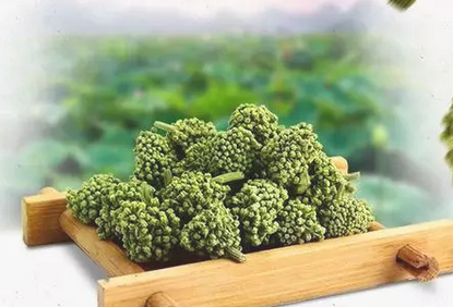 三七花的功效与作用以及食用方法