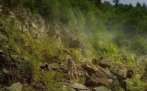 全世界著名的"野孩子"!揭秘他们的最终结局