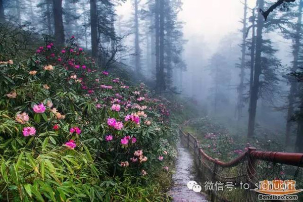 瓦屋山