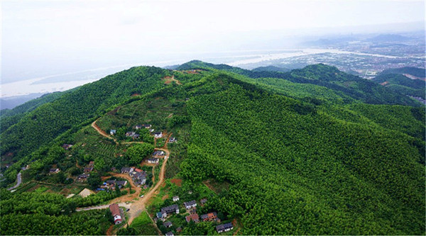 萧山寺坞岭竟与明太祖朱元璋有这样的渊源