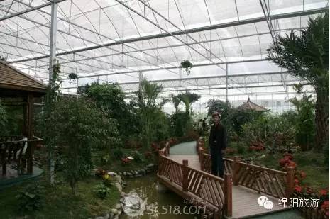 赏花,趣味运动路 线:乘98路(前往)-富乐花乡站10月国际兰花主题公园