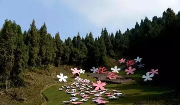 樱花!"扫黄,扫黄",遵义美到没朋友!