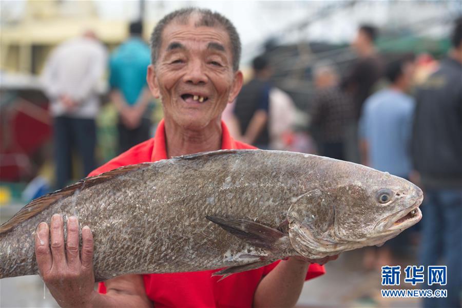 3月6日,海南琼海市潭门港的渔民在码头装运海鱼.