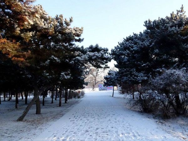 辽宁省沈阳市——北陵公园雪后美景