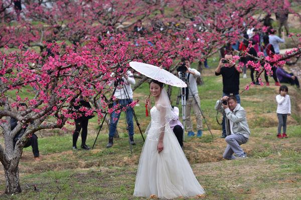 连州桃花节开幕村姑摇身变模特