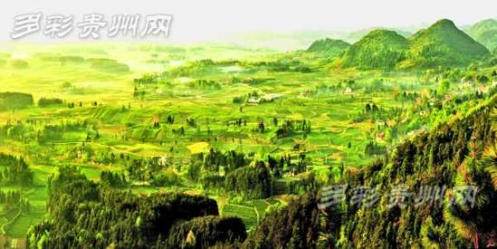 浓(组图 多彩贵州网讯 茶圣陆羽在其《茶经》中记载"黔中生思州