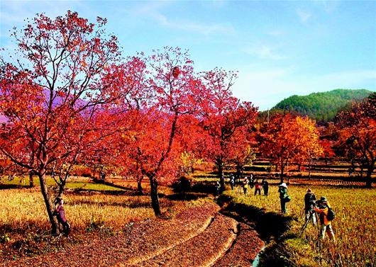 青苔关,薄刀峰等八大景区,山清水秀,景色迷人,"天堂红叶,九资河田园