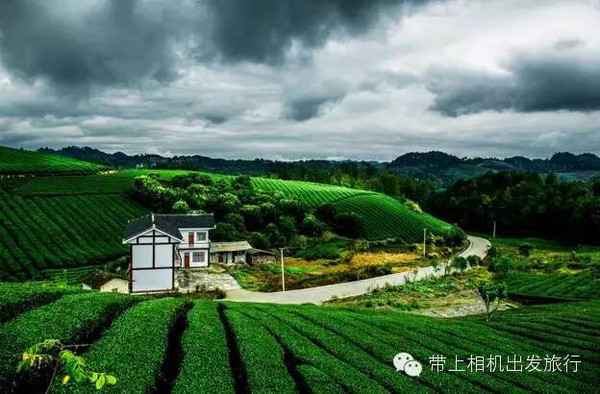 38.院士摇篮 大美茶海——湄潭中国西部茶海景区