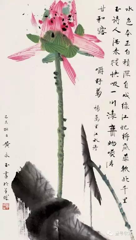 黄永玉 画荷