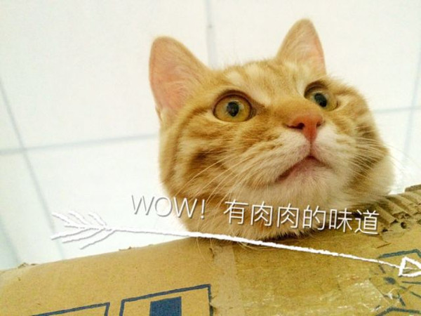 一个喵星人纠结1的独白内心吃搞笑图鱼图片