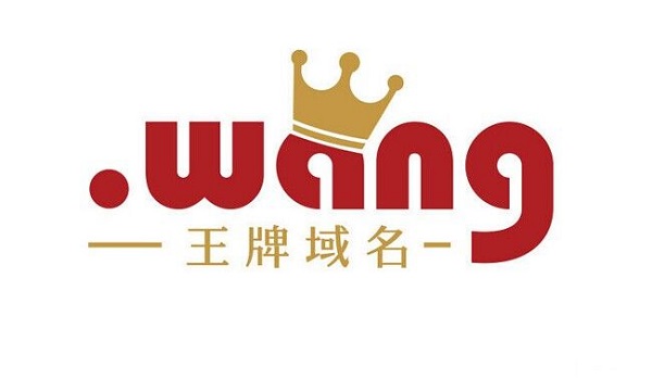 王牌域名.wang成长记