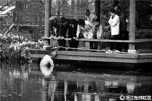美化工人葛徒弟下水打捞手机 图像来历:浙江在线社区