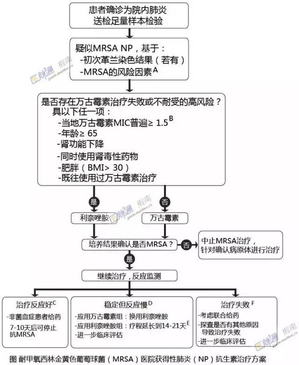 亚洲共识:耐甲氧西林金葡菌院内肺炎如何破?