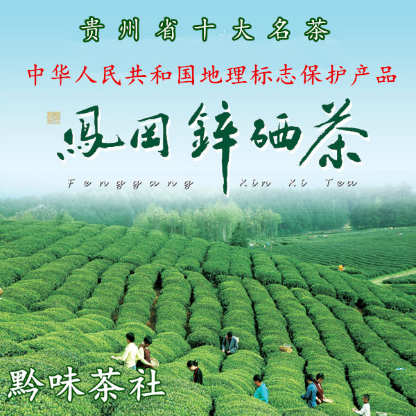 西安热销凤冈锌硒茶提名百年中国茶名茶金奖