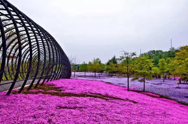 上海辰山植物园