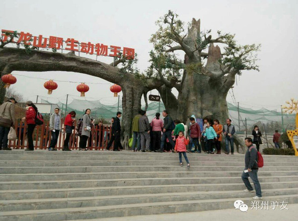 【驴途归来】3月6日五龙山游乐场 野生动物园快乐归来!